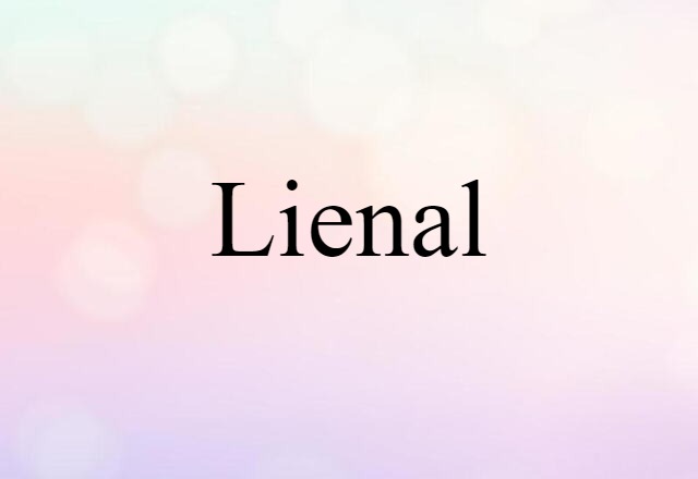 Lienal (noun) Definition, Meaning & Examples