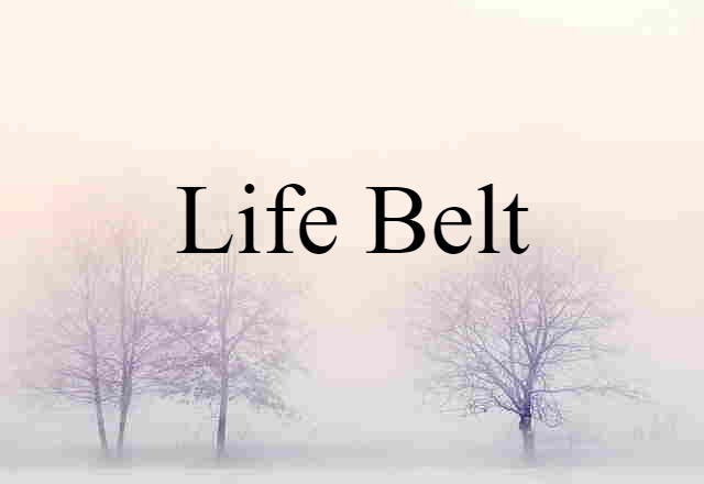 Life Belt (noun) Definition, Meaning & Examples