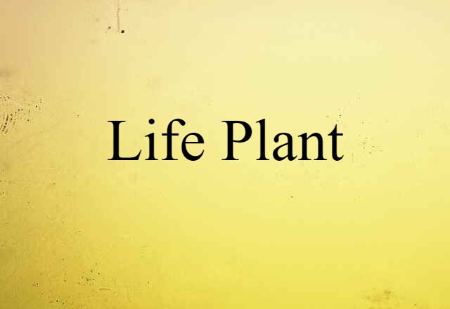 life plant