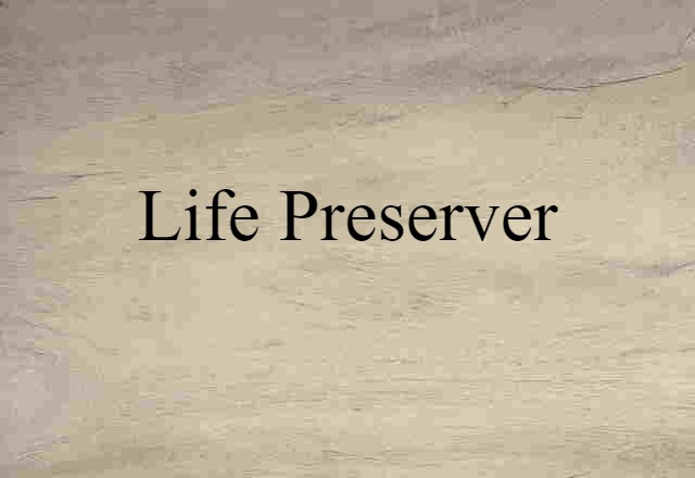 Life Preserver (noun) Definition, Meaning & Examples