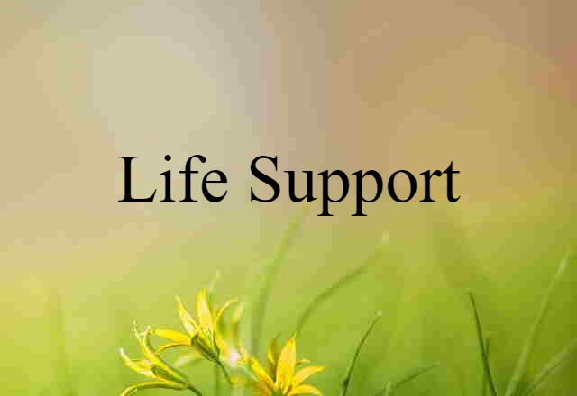 life-support