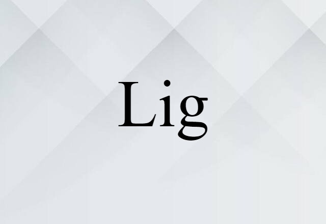 Lig (noun) Definition, Meaning & Examples