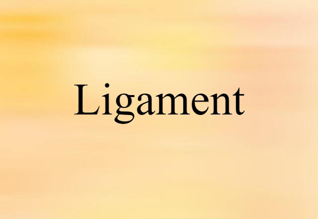 Ligament (noun) Definition, Meaning & Examples