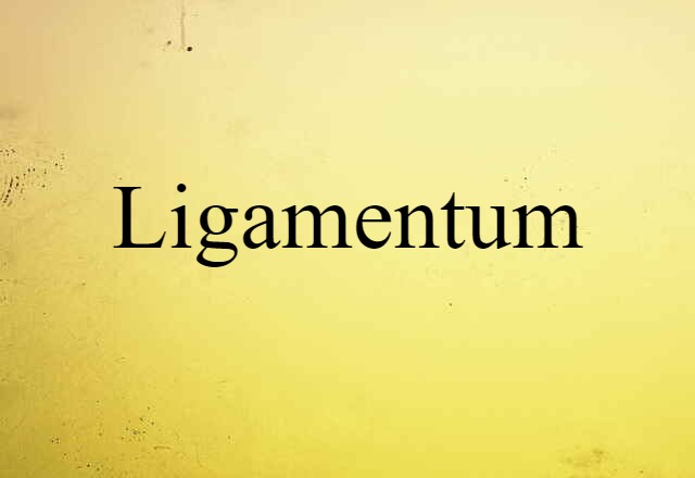 Ligamentum (noun) Definition, Meaning & Examples