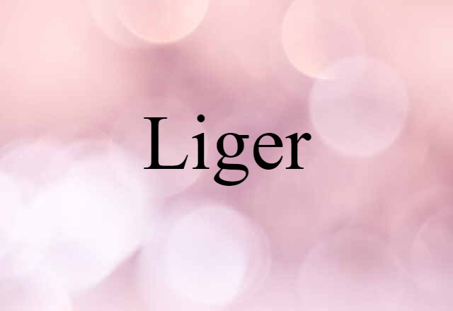 Liger (noun) Definition, Meaning & Examples