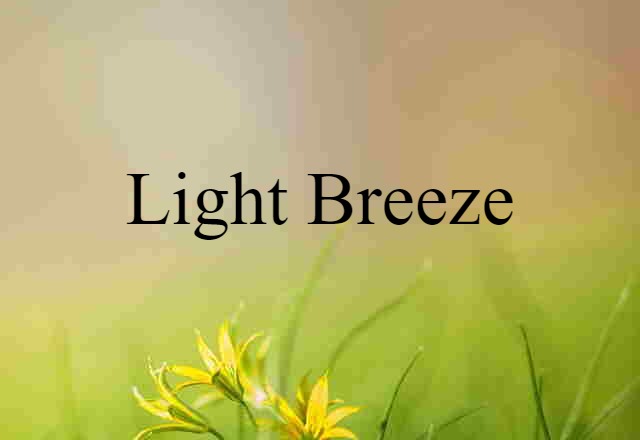 light breeze