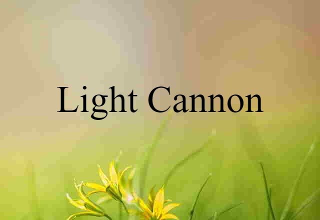 Light Cannon (noun) Definition, Meaning & Examples