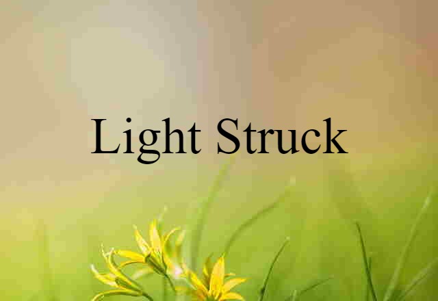 Light-struck (noun) Definition, Meaning & Examples