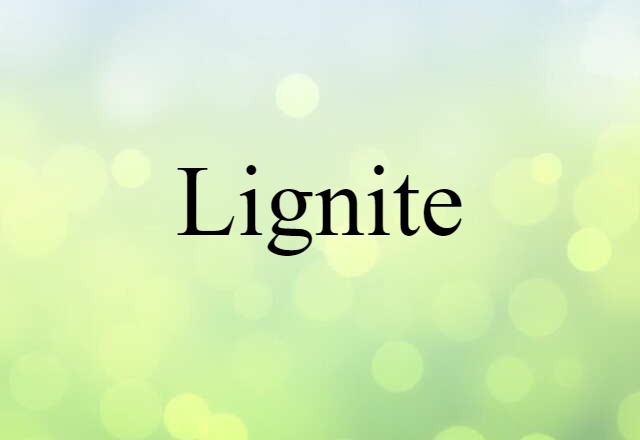 Lignite (noun) Definition, Meaning & Examples