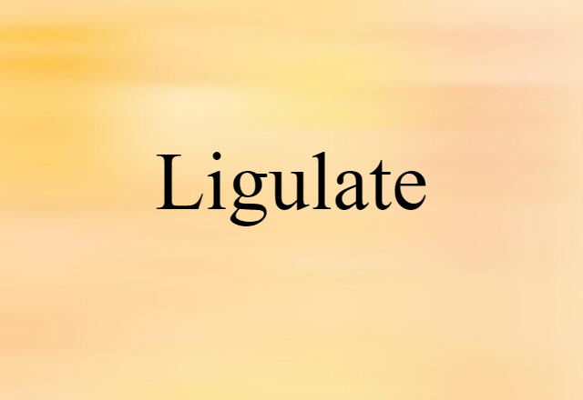 Ligulate (noun) Definition, Meaning & Examples