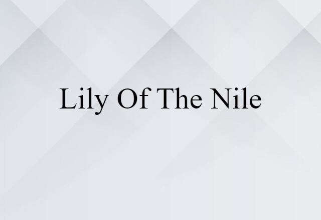 lily-of-the-Nile