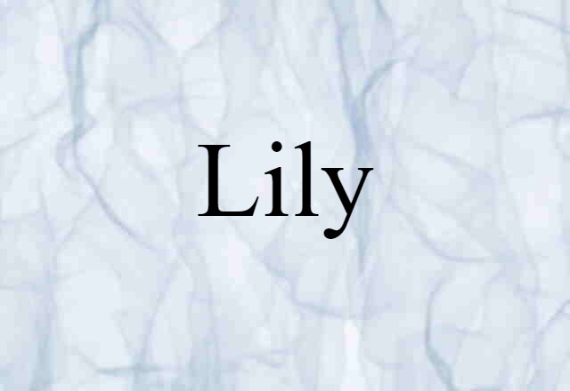 lily