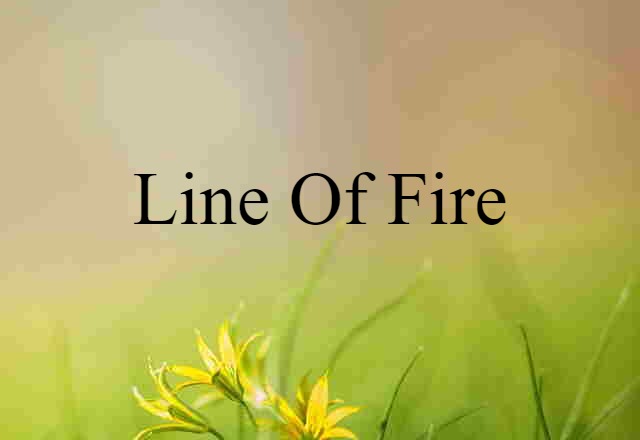 Line Of Fire (noun) Definition, Meaning & Examples