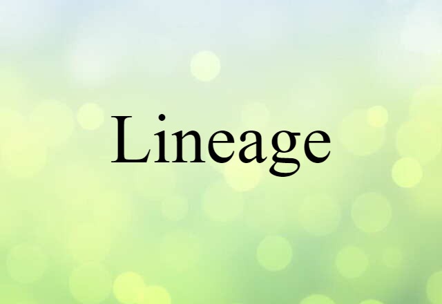 Lineage (noun) Definition, Meaning & Examples