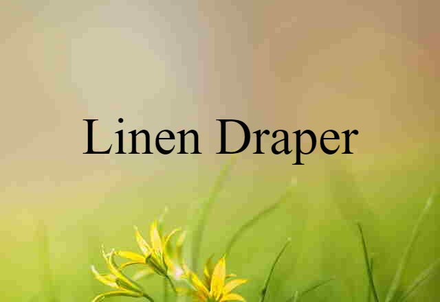 Linen Draper (noun) Definition, Meaning & Examples