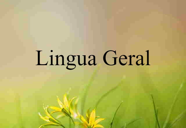 Lingua Geral (noun) Definition, Meaning & Examples