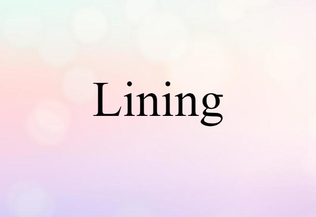 Lining (noun) Definition, Meaning & Examples