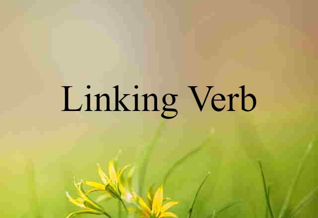 Linking Verb (noun) Definition, Meaning & Examples