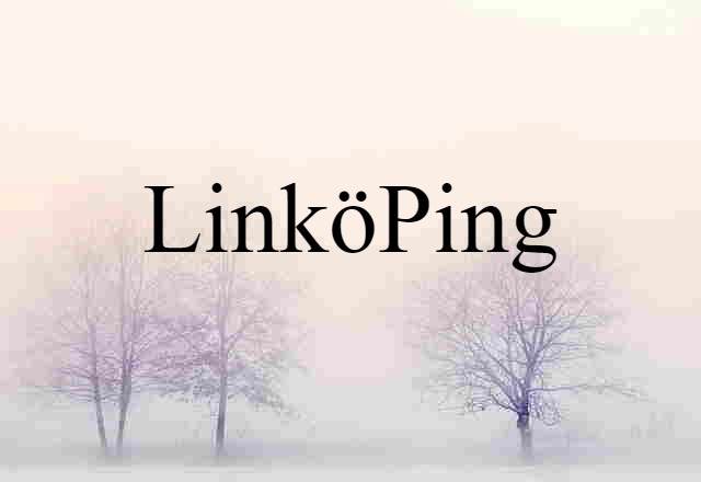 Linköping (noun) Definition, Meaning & Examples