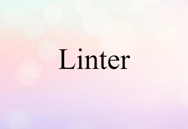 Linter (noun) Definition, Meaning & Examples