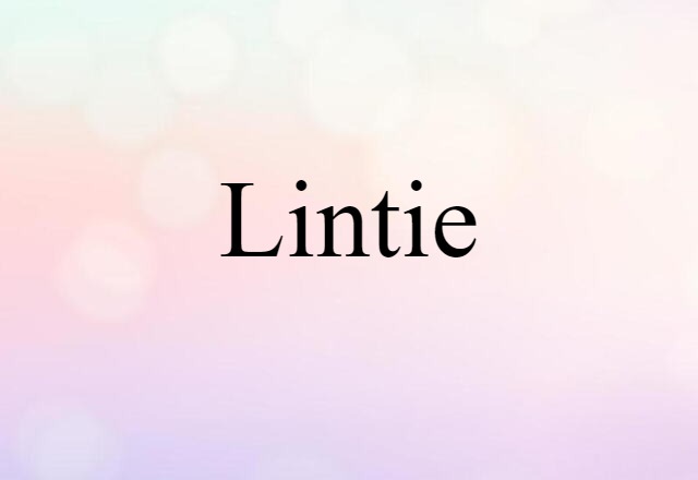 Lintie (noun) Definition, Meaning & Examples