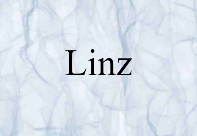 Linz (noun) Definition, Meaning & Examples