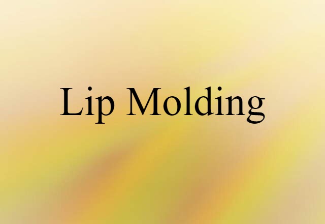 lip molding