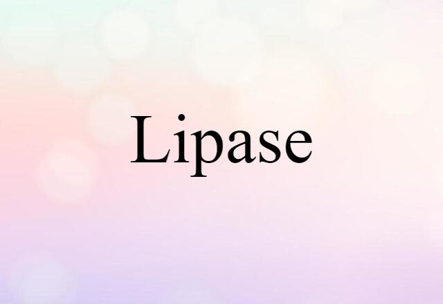 lipase