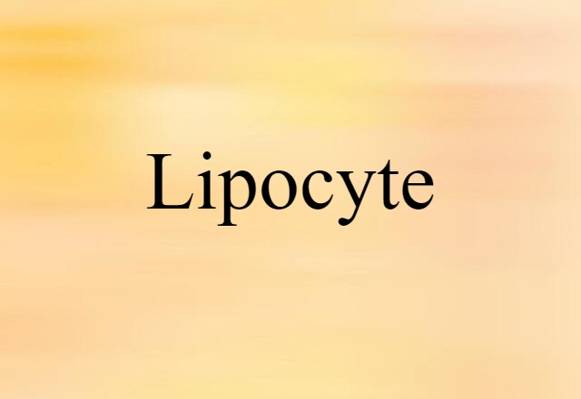 lipocyte