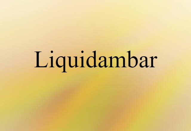 Liquidambar (noun) Definition, Meaning & Examples