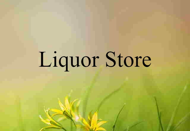 Liquor Store (noun) Definition, Meaning & Examples