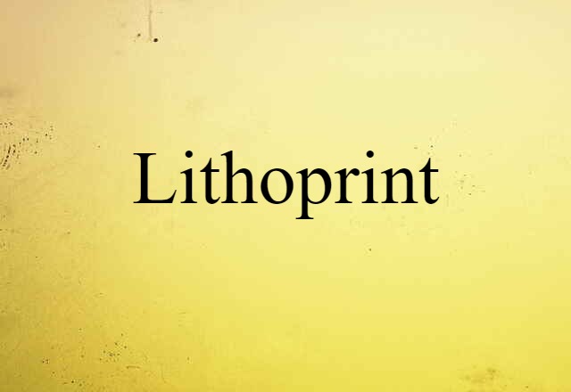 Lithoprint (noun) Definition, Meaning & Examples