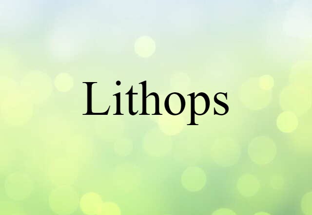 Lithops (noun) Definition, Meaning & Examples