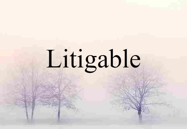 Litigable (noun) Definition, Meaning & Examples