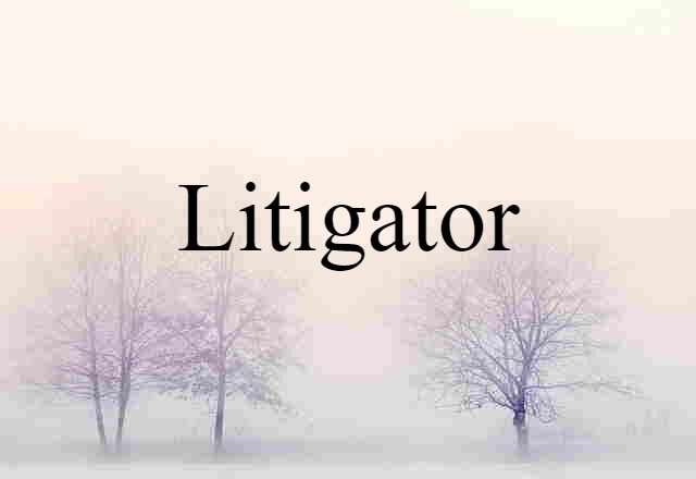 litigator