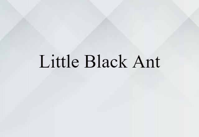 Little Black Ant (noun) Definition, Meaning & Examples