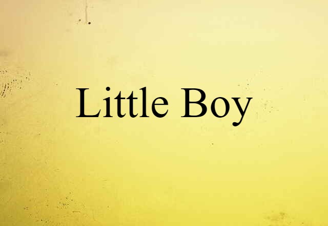 Little Boy