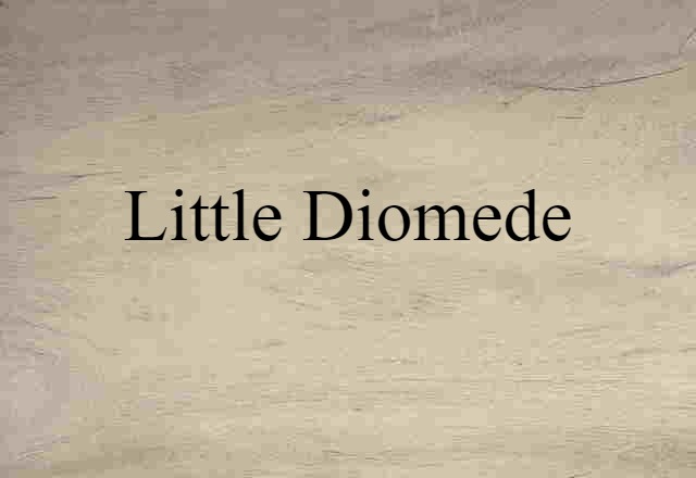 Little Diomede (noun) Definition, Meaning & Examples