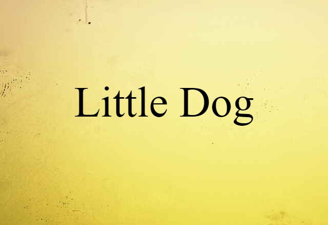 Little Dog