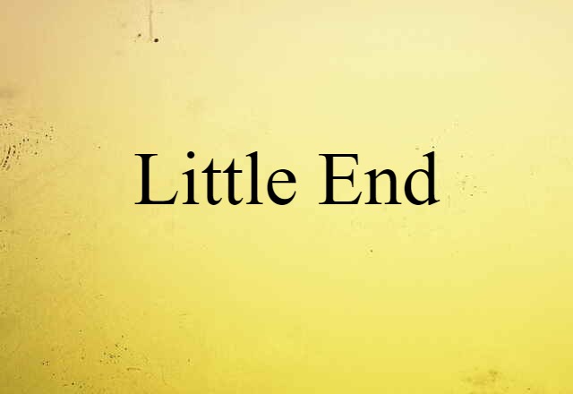 Little End (noun) Definition, Meaning & Examples