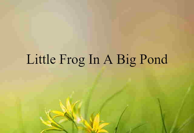 little frog in a big pond