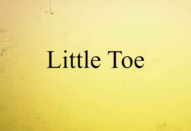 Little Toe (noun) Definition, Meaning & Examples