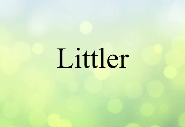 Littler (noun) Definition, Meaning & Examples