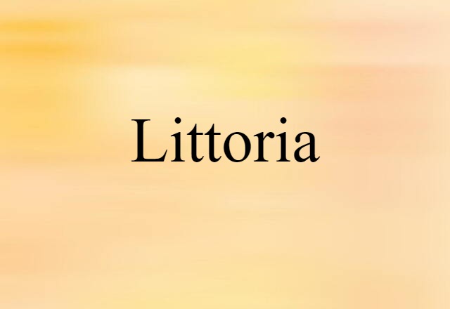 Littoria (noun) Definition, Meaning & Examples