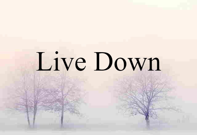 Live Down (noun) Definition, Meaning & Examples