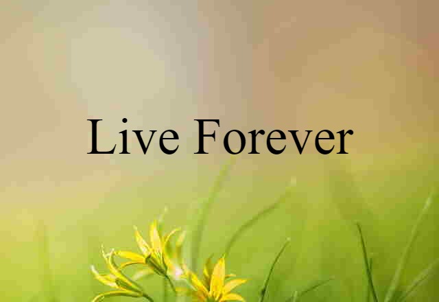 Live-forever (noun) Definition, Meaning & Examples