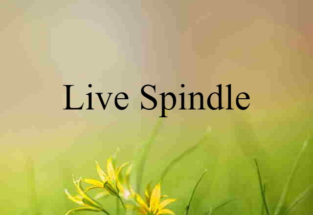 live spindle