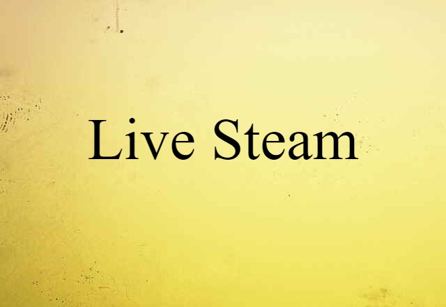 Live Steam (noun) Definition, Meaning & Examples