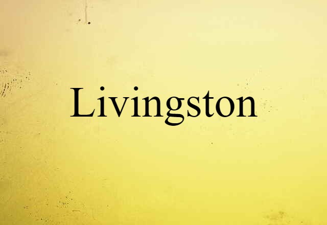 Livingston (noun) Definition, Meaning & Examples