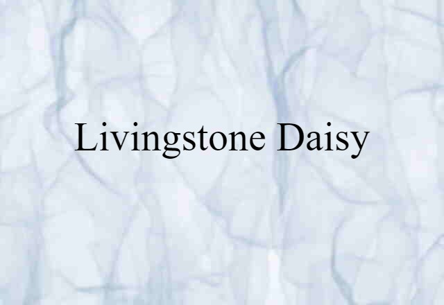 Livingstone daisy